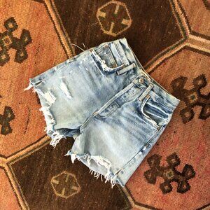 Agolde Jean Shorts Button Fly 23